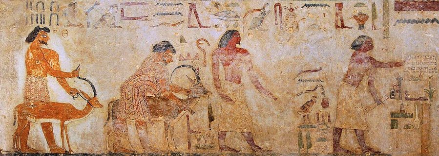 Procession of the Aamu: the leaders with gazelle and ibex before Egyptian officials — Beni Hasan — original