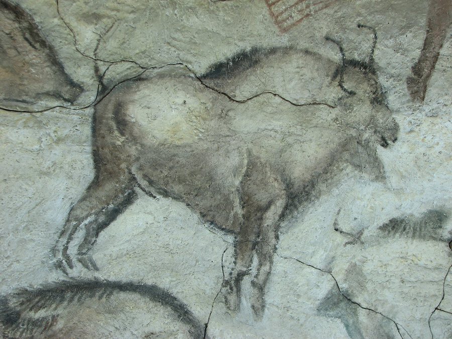 The bison of Altamira — original