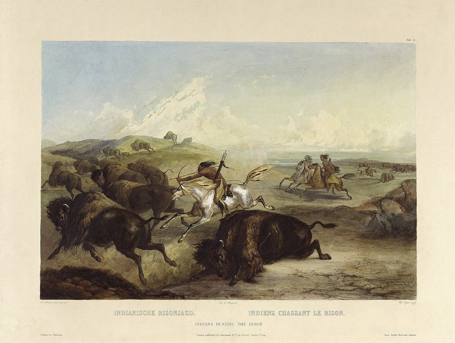 Bison on the upper Missouri, Karl Bodmer — original