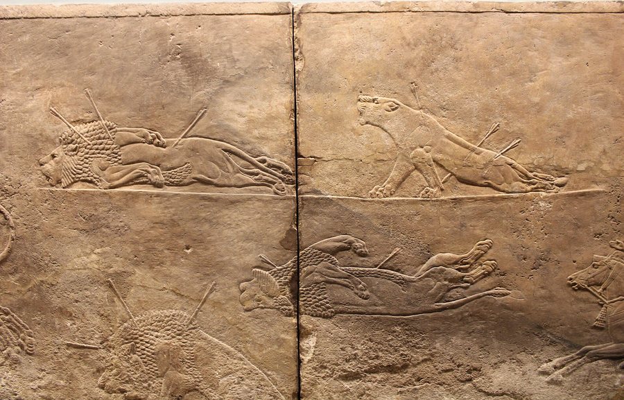 The dying lioness of Nineveh — original