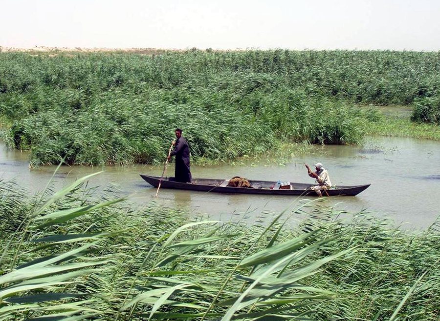 A mashoof in the Iraqi marshes — original