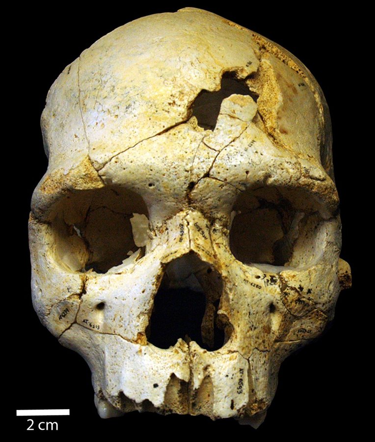 Homo heidelbergensis / Sima de los Huesos people — several possible bodies — original