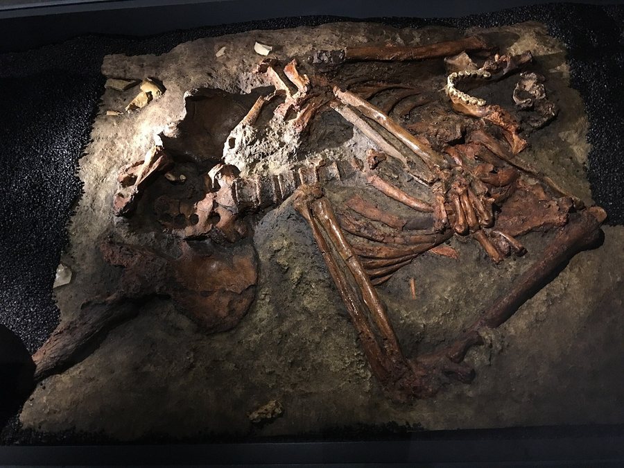 Neanderthal (Kebara 2 / La Ferrassie 1) — several possible bodies — original