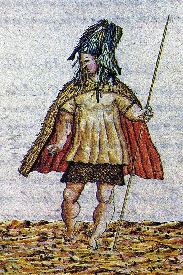 Canario hombre — original