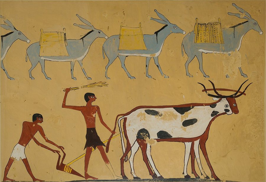 Donkeys and ploughing — original