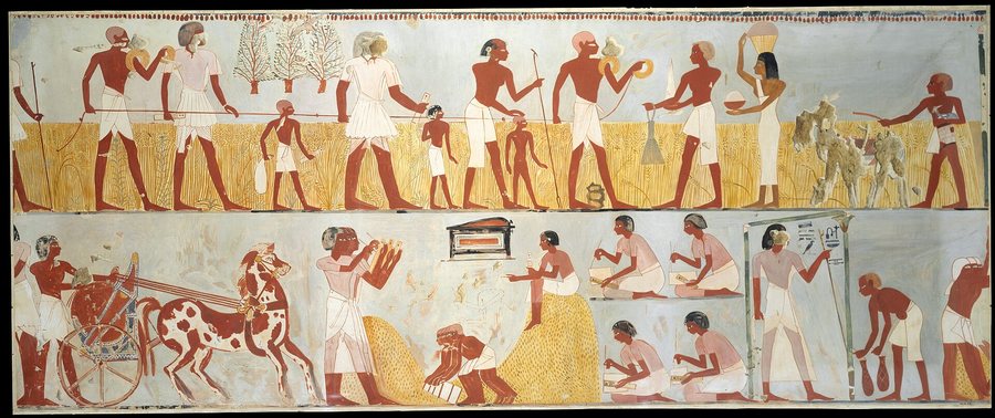 The harvest, tomb of Menna — original