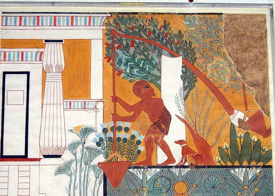 Watering the garden with a shaduf — original