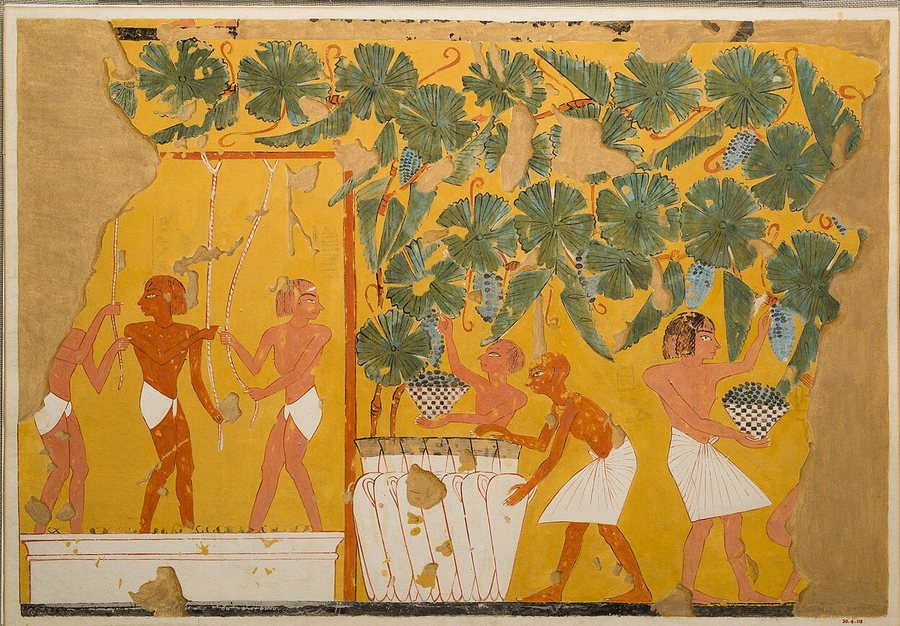Grape harvest and treading — original