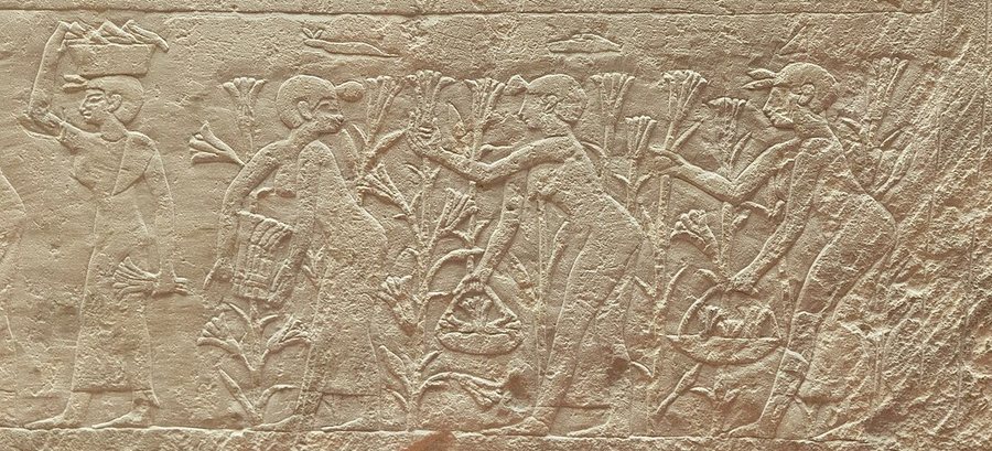 Lily harvest (Louvre E 11377) — original