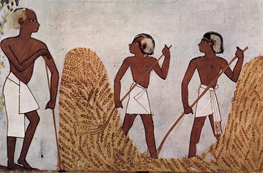 Reaping grain — original