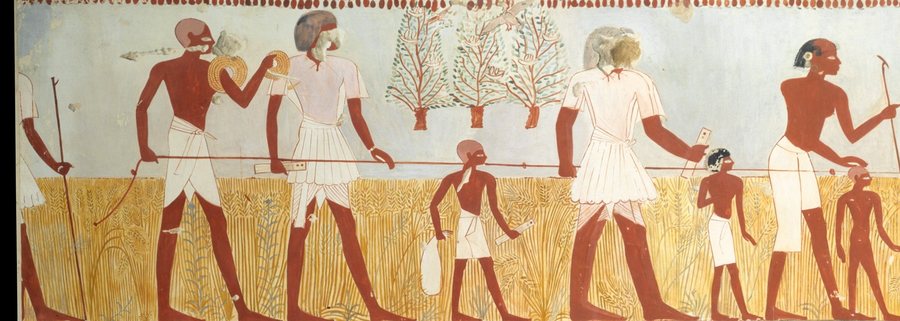 Surveying the grain fields — original