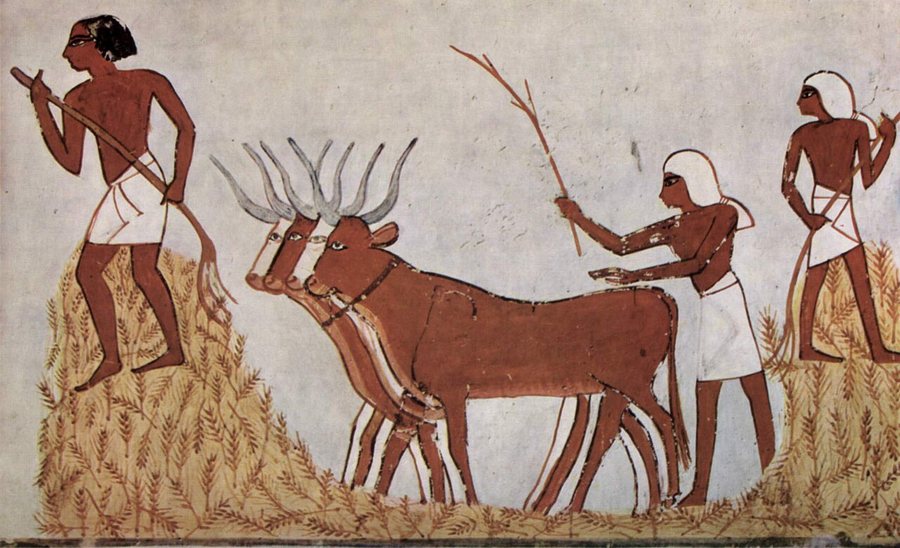 Threshing with oxen — original