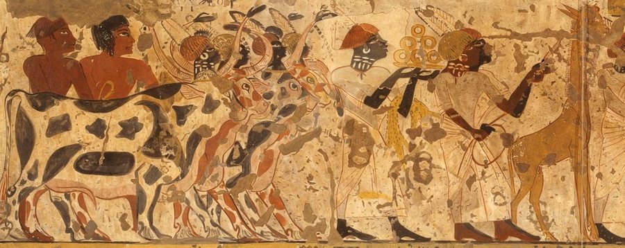 Nubian Tribute Presented to King Tutankhamun, Tomb of Huy — tribute bearers with cattle and a giraffe — original