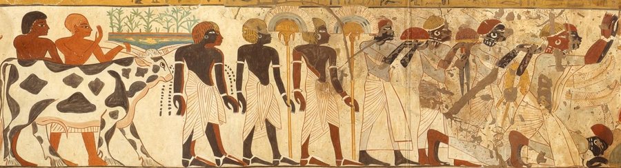 Nubian Tribute Presented to King Tutankhamun, Tomb of Huy — a garlanded ox and Nubian bearers — original