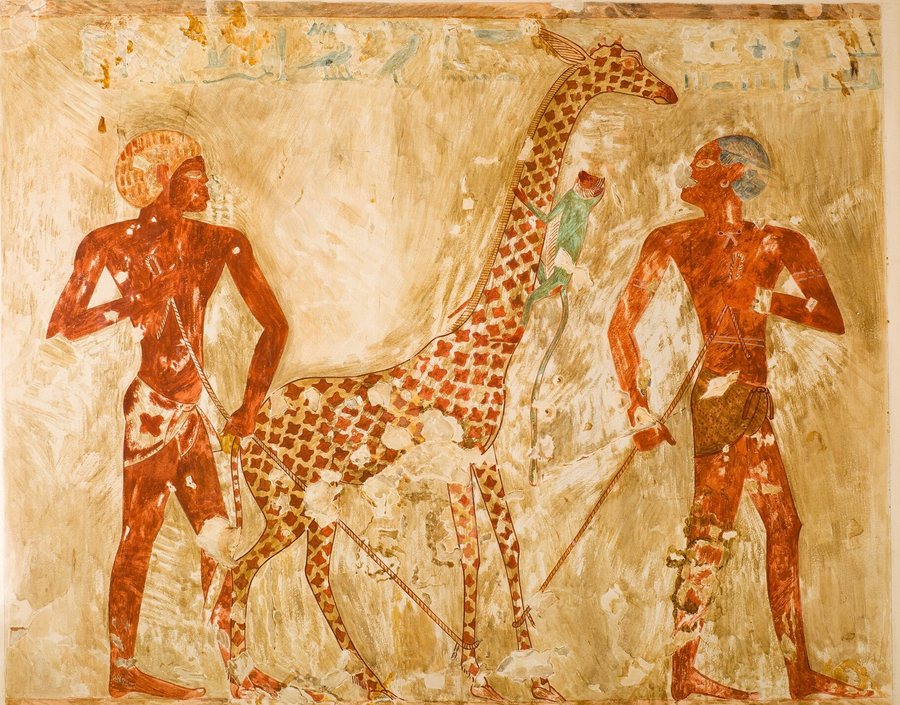 Nubians with a Giraffe and a Monkey, Tomb of Rekhmire — original