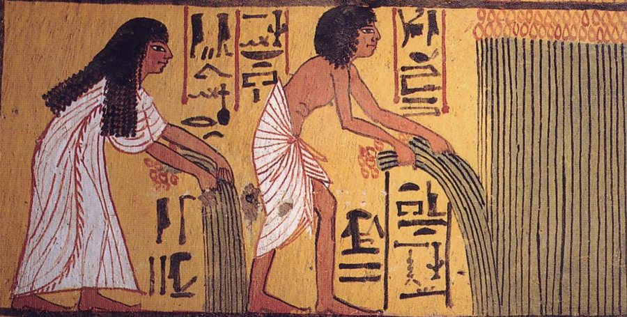 Sennedjem and Iyneferti harvesting — original
