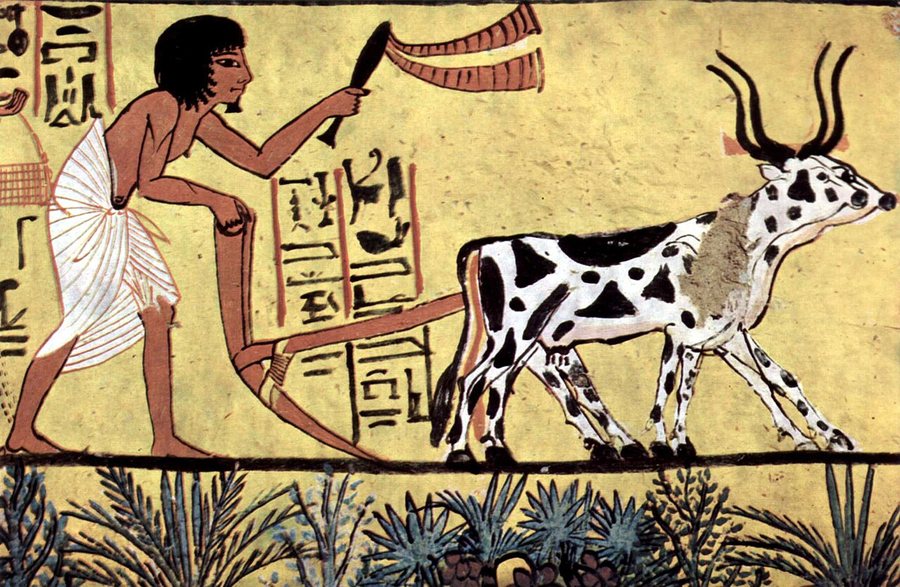 Sennedjem ploughing — original