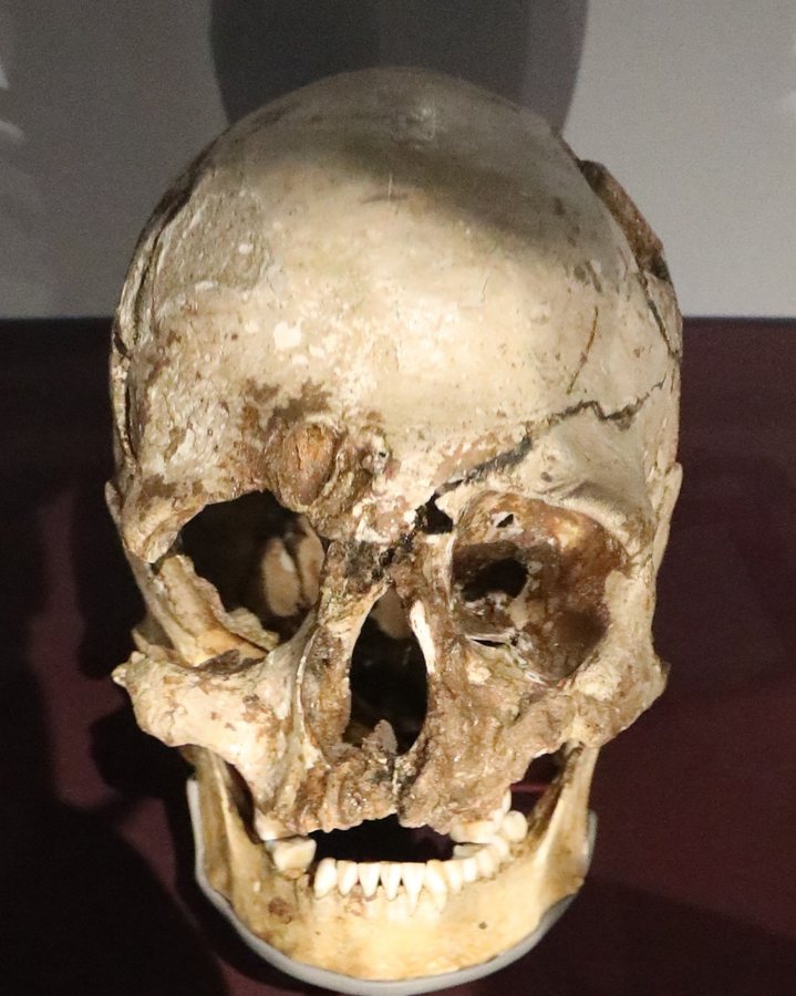 Cheddar Man — Mesolithic Briton — one face, every colour (round 2) — original