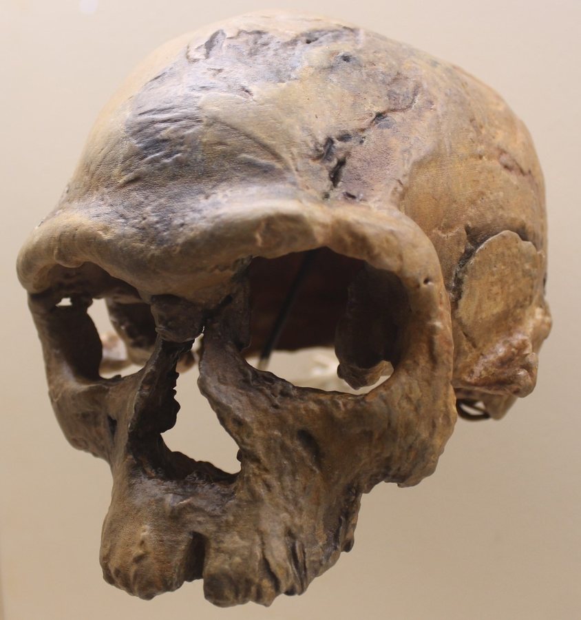 Jebel Irhoud 1 — early Homo sapiens — one face, every colour (round 2) — original