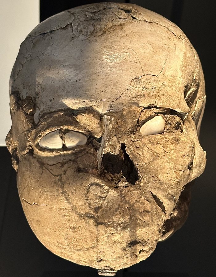 The plastered skull of Jericho — one face, every colour (round 2) — original