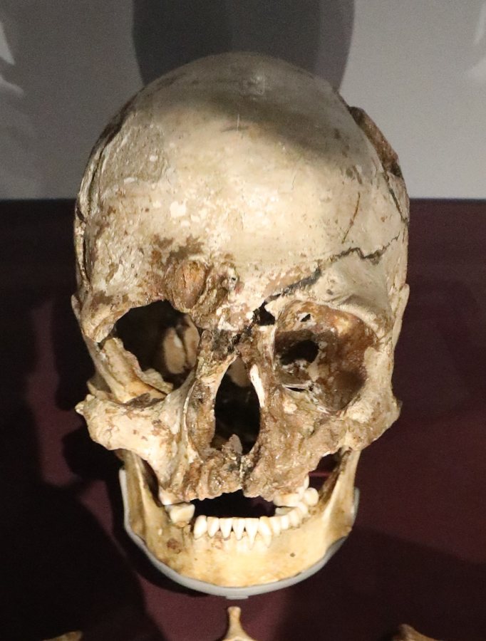 Cheddar Man — Mesolithic Briton — several possible faces — original