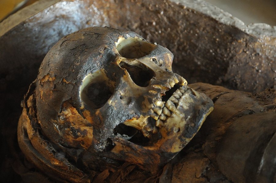 An ancient Egyptian skull — several possible faces — original