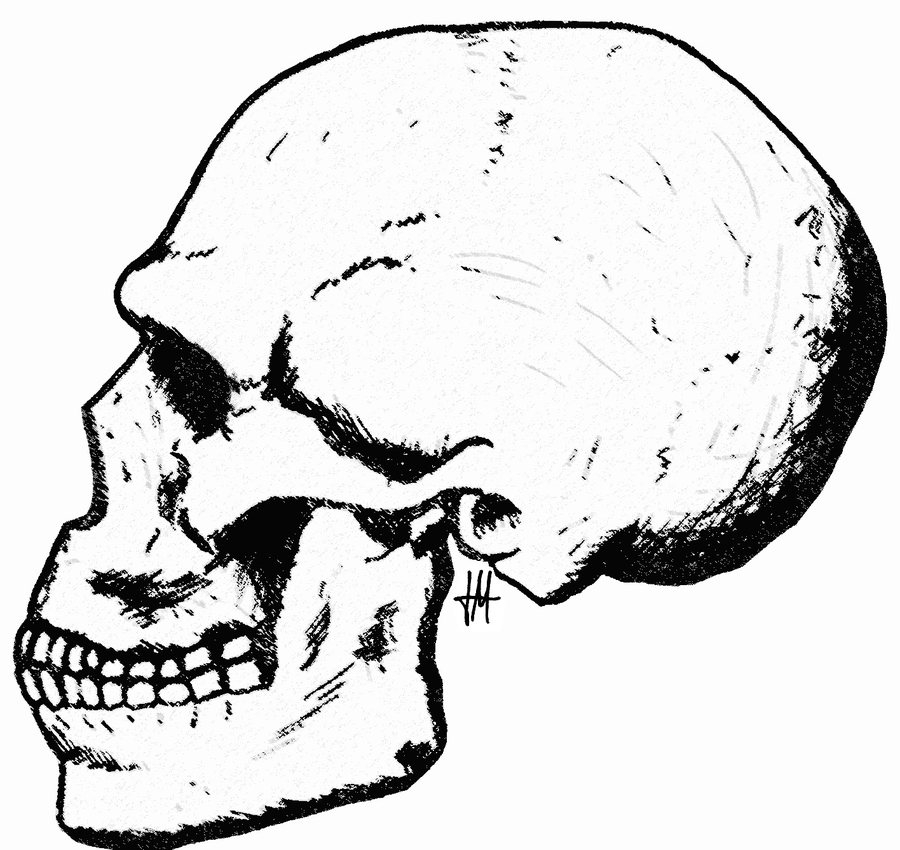 Skhul V — early Homo sapiens of the Levant — several possible faces — original