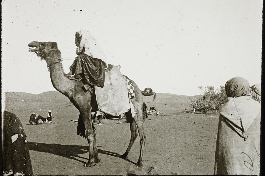 Mohamed-ben-Ikhenoukhen, Azdjer notable, on camel (1894) — original